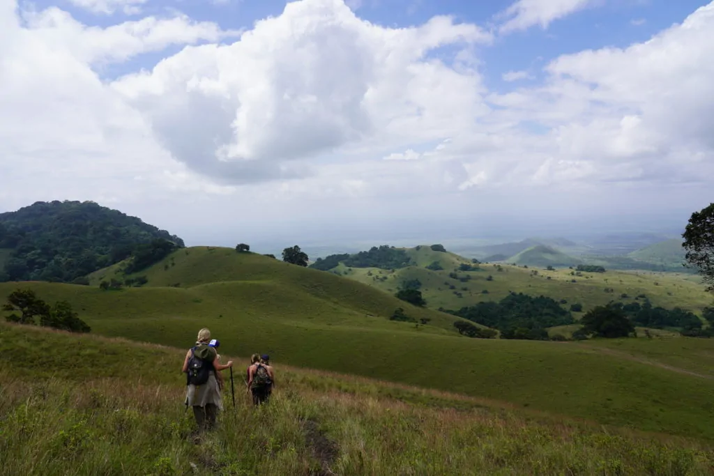 International Conservation