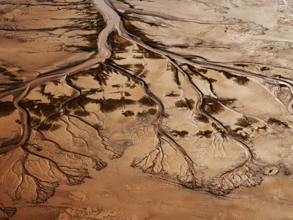 New Episode: The West in Focus – Conservation Photography with David Showalter