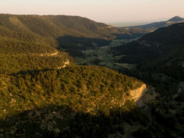 78 Square Miles Adjoining Ted Turner’s Famous 550,000-acre Vermejo Park Ranch Comes to Market