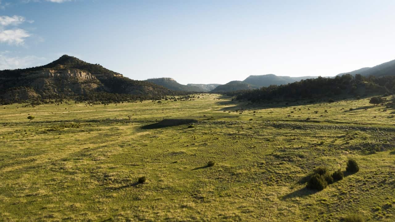 Green meadows and waterways in Elk Valley Ranch scenery