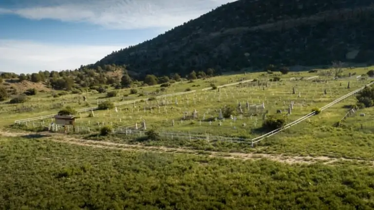 Dawson Elk Valley Ranch - Ranch For Sale In New Mexico - Mountains and Trees