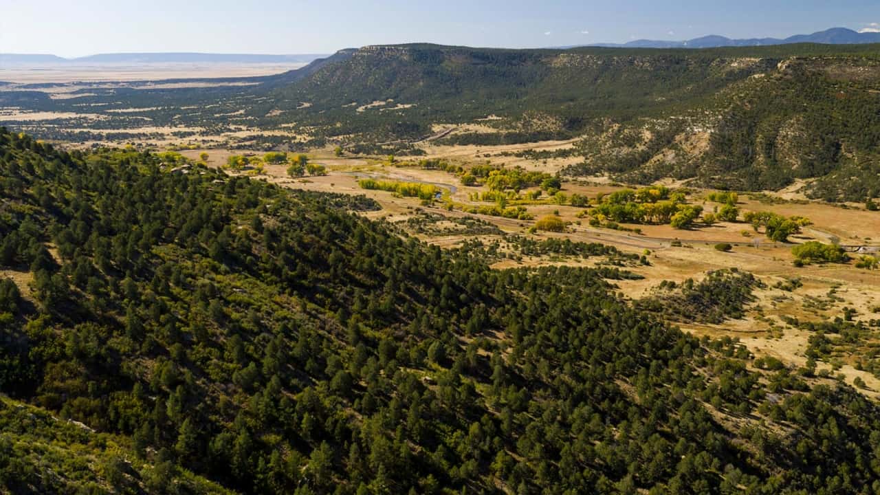 Mountain slopes and forests at Elk Valley Ranch property