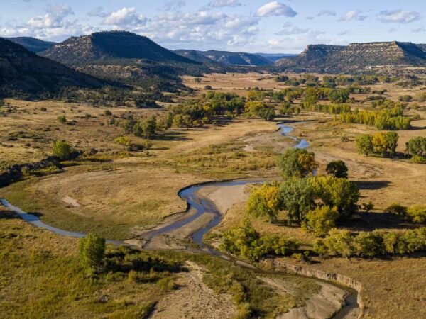 Field Notes 2025: A Historic Conservation Sale – Dawson Elk Valley Ranch