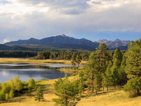 A 2024 Landmark Ranch Deal: Dutton Creek Ranch