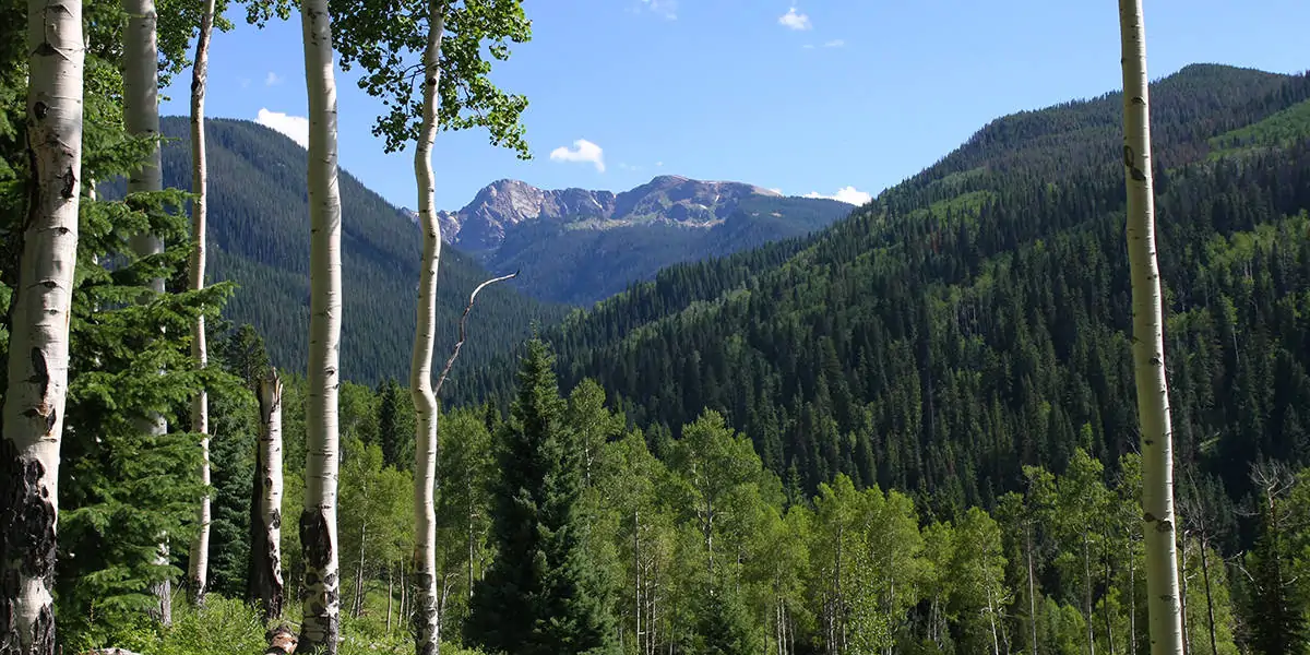Eagle's Nest Ranch | Land Value Calculator 
