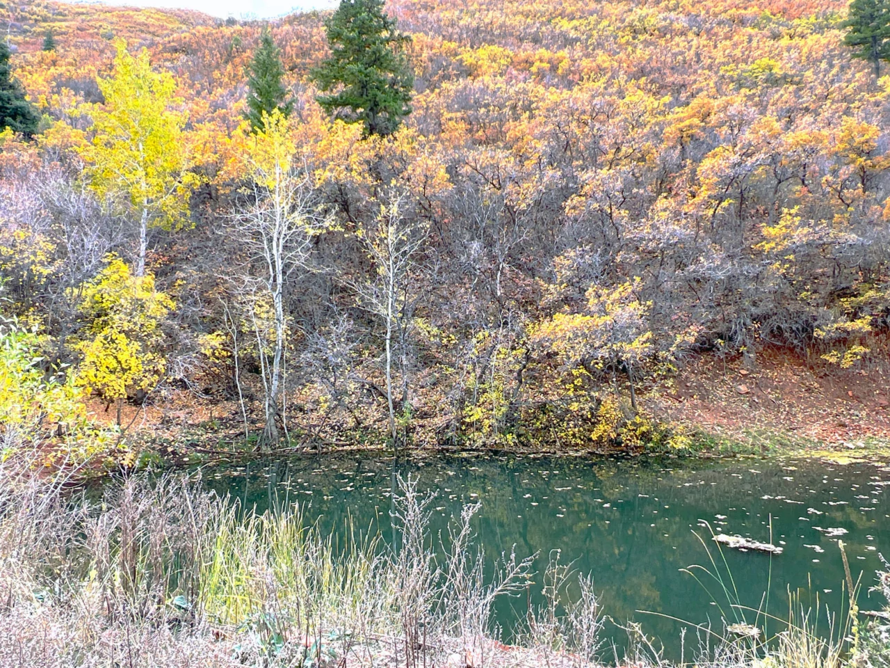 East-Canyon-Ranch-Utah-ranches-for-sale-pond