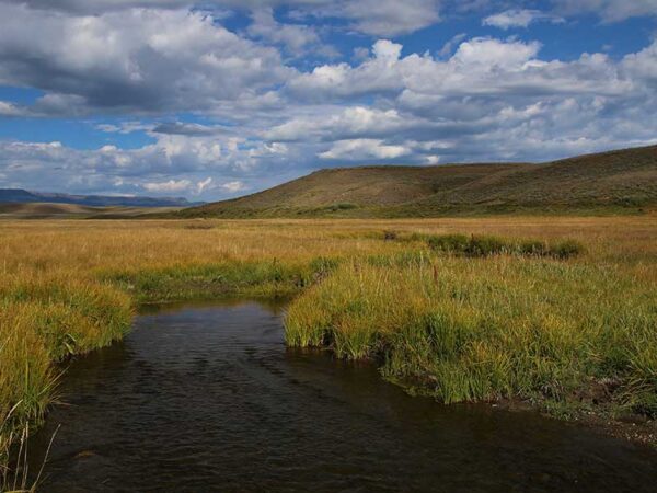 Money For Water: Incentivizing Private Landowners for Water Rights