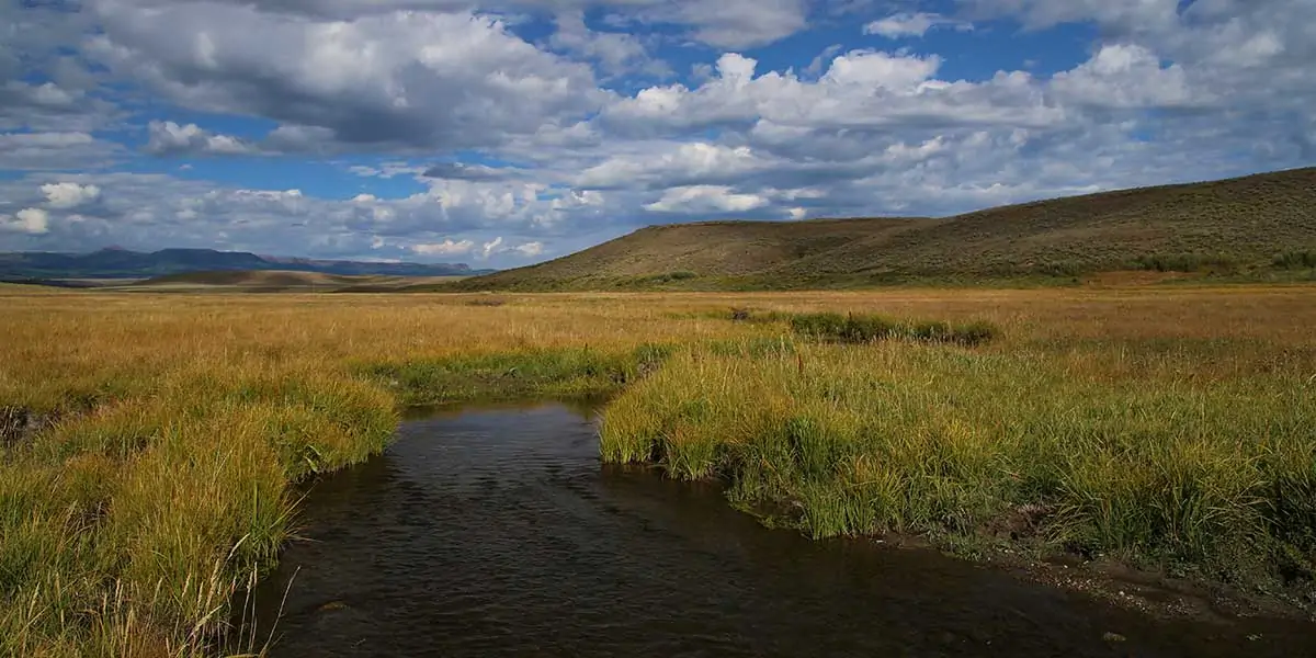 Porcupine Ridge Ranch
