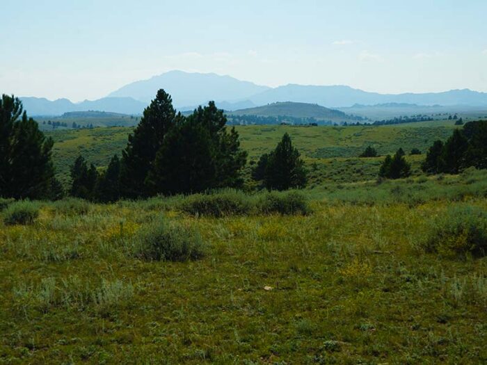 Elk Camp