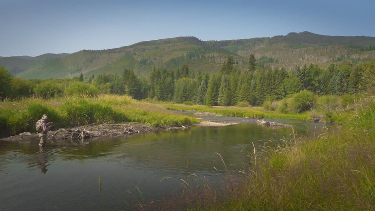 Elk-Creek-Ranch-South-Fork