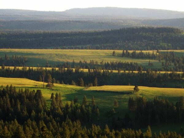 Oregon Ranch for Sale: Introducing Elk Song Ranch