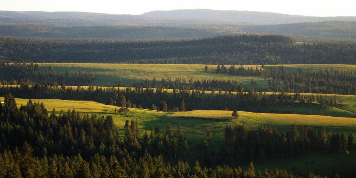 Elk Song Ranch