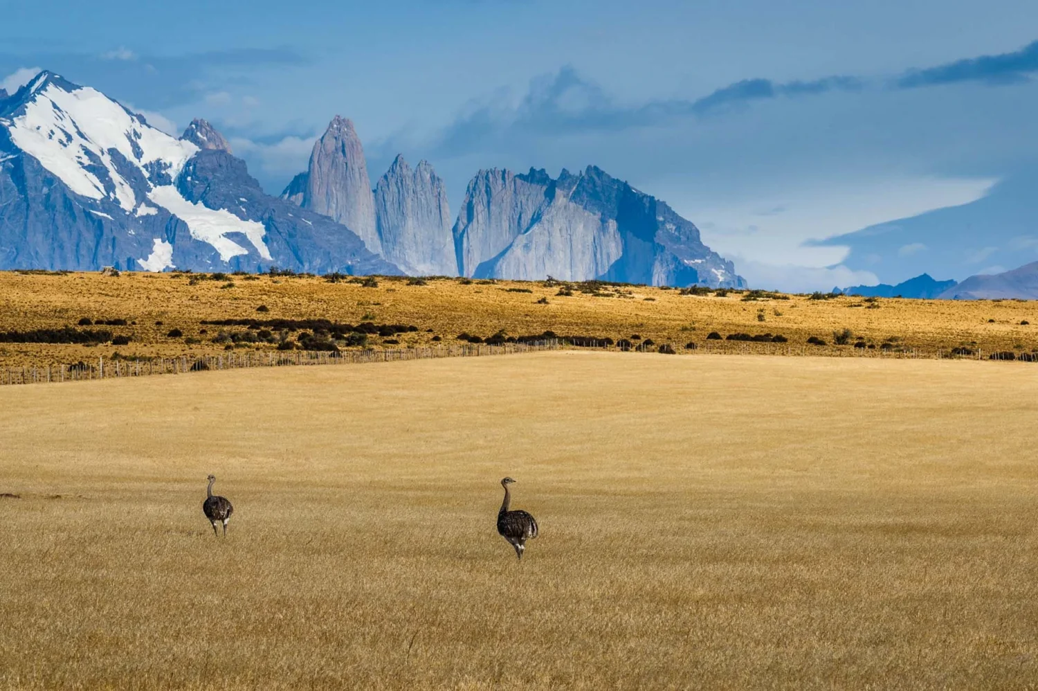 The Parcels at Torres del Paine Conservation Reserve