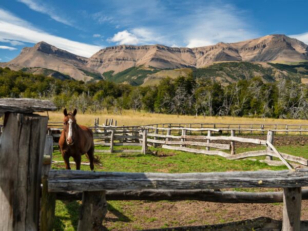 Join US on a trip to spectacular Torres del Paine Reserve
