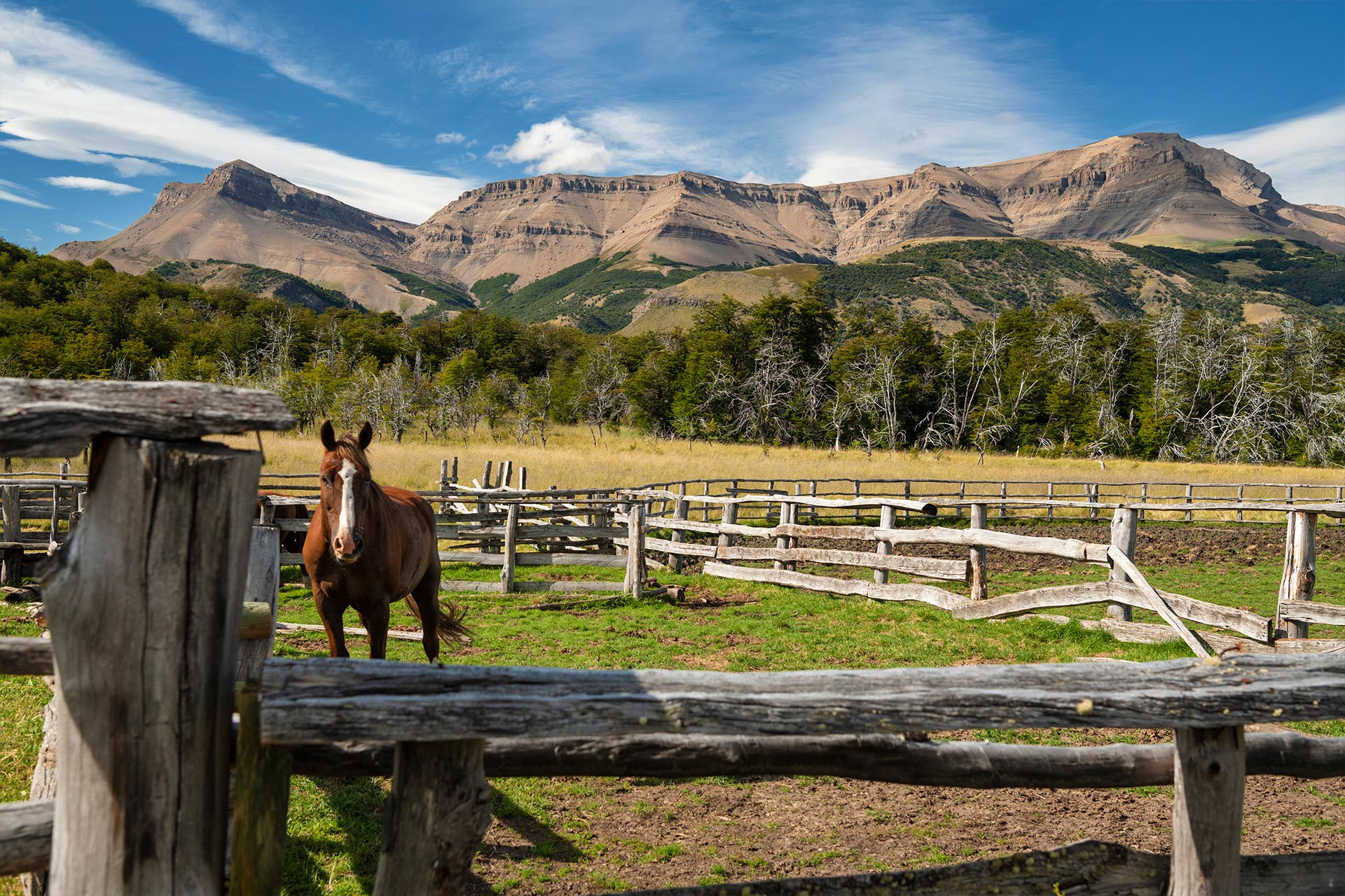 Explora-South-American-ranches-for-sale-Forest-parcel