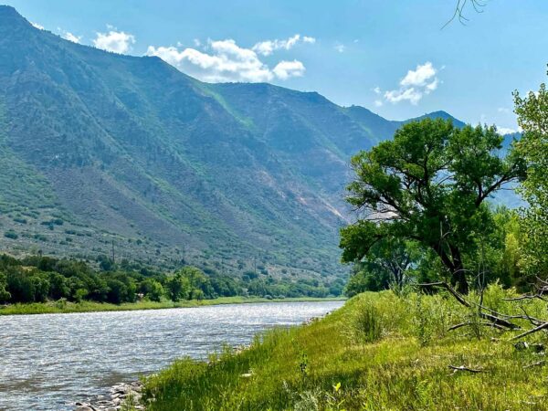 Solutions for Water Shortages in the Colorado River