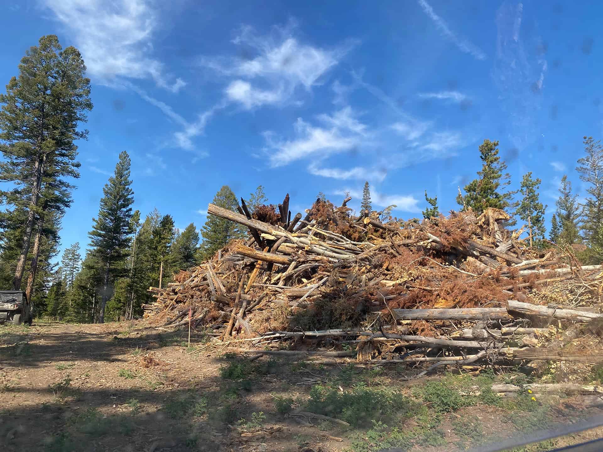 Forest clearing at Gore Canyon Ranch