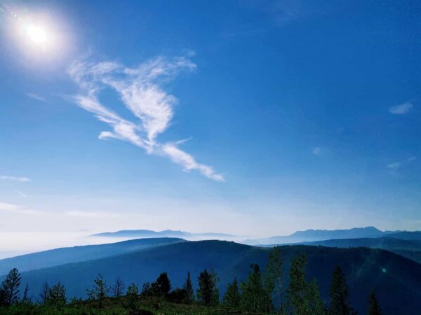 Forest Fires: How Do Ranchers Plan Ahead?