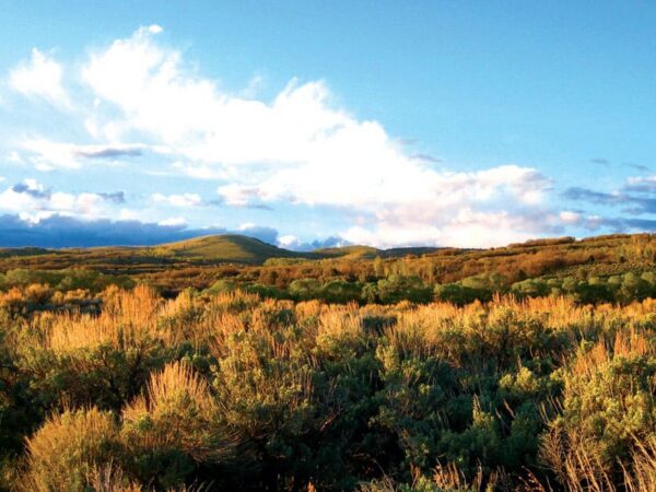 Acclaimed multi-million dollar trophy hunting ranch sells in Salina, Utah