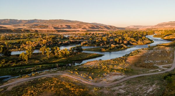 Fly Fishing Buyer: Buyer Case Story