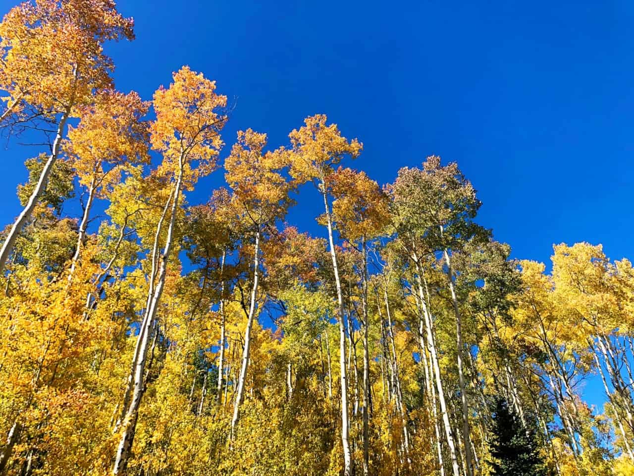 Gore Canyon Ranch