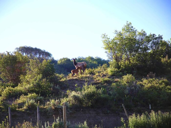 Grassy Creek Ranch