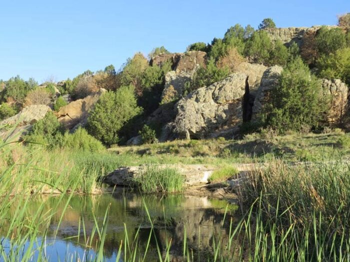 VB Canyon Ranch