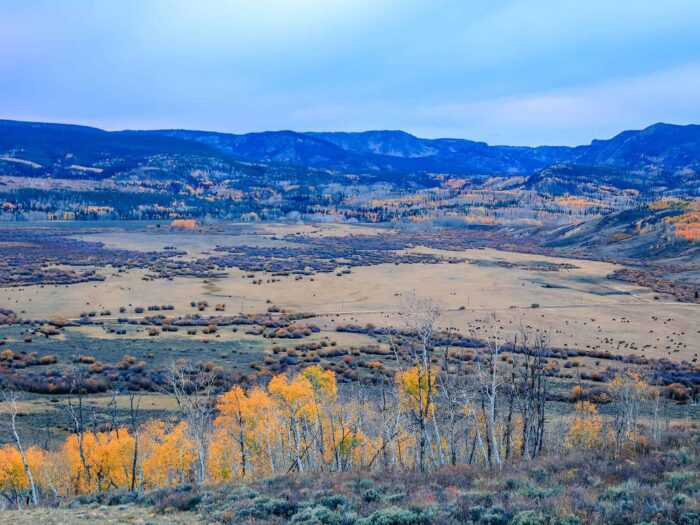 Hanson Ranch