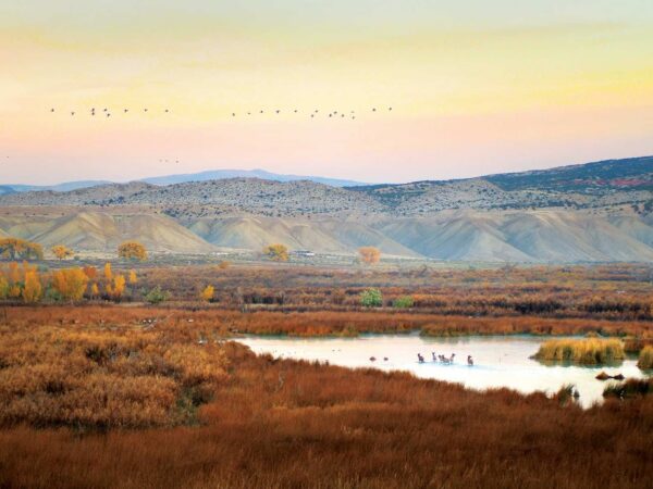 USDA’s 2022 Land Values Report shows strong growth, but there’s more to the story