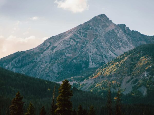 Colorado Gives Day & End of Year Charitable Giving Guide for 2025