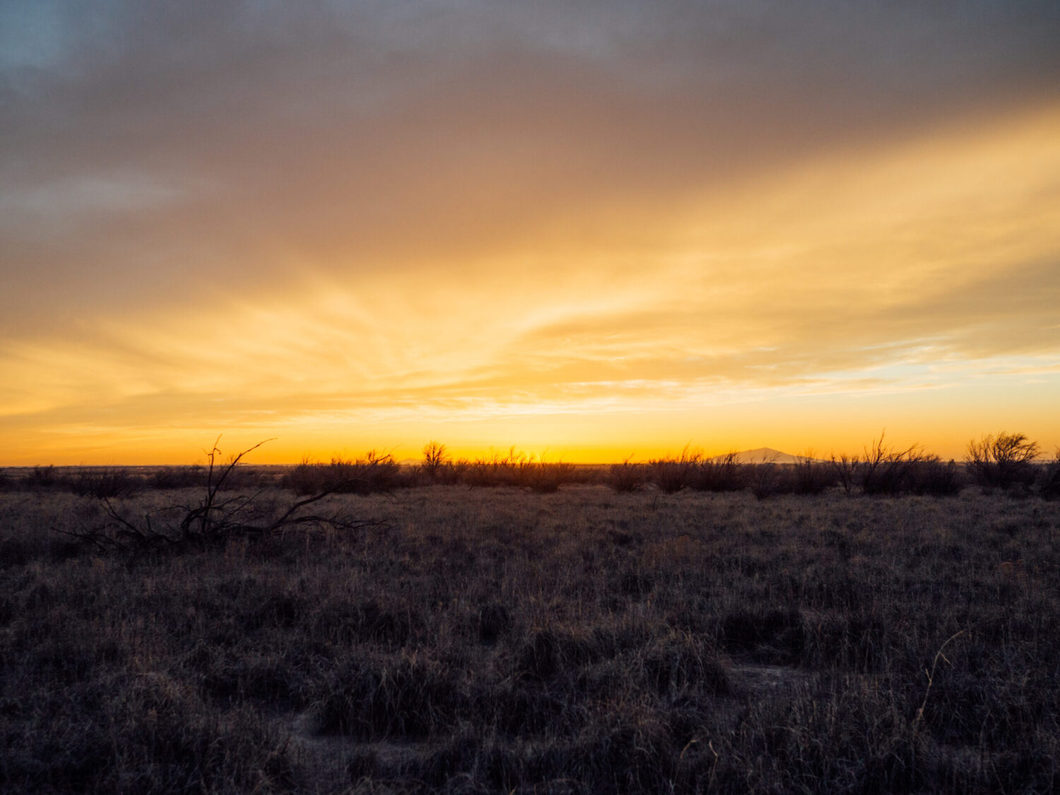 Mirr Ranch Group view of glowing sunrise on grasslands