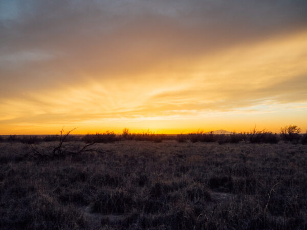 New Episode: Western Legacies: A Best-of Year in Ranching and Conservation