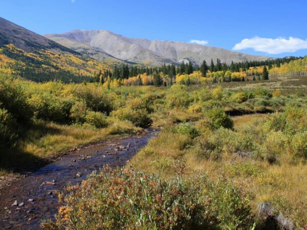 Ranch Broker Essential Characteristic #1 – Experience