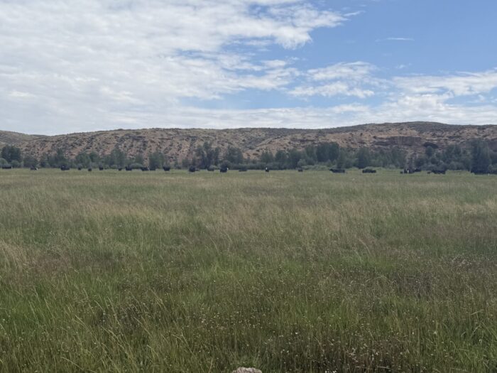 Broken Arrow Ranch