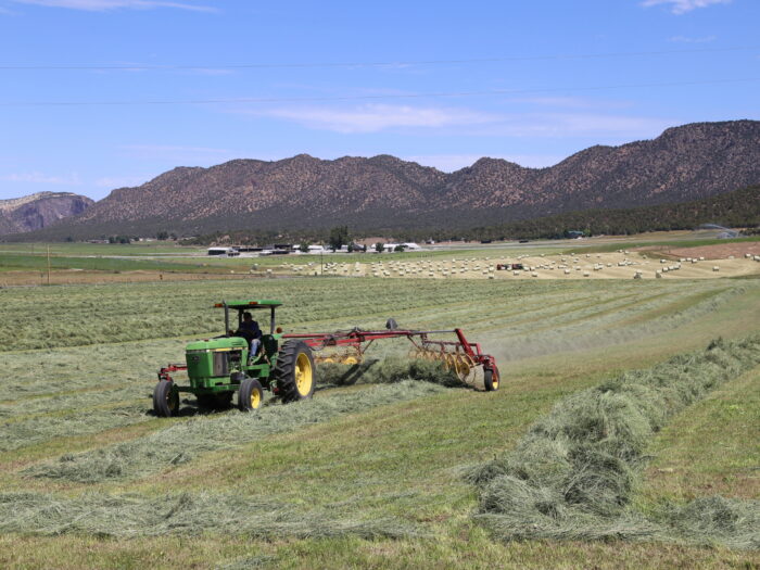 Glen Haven Ranch