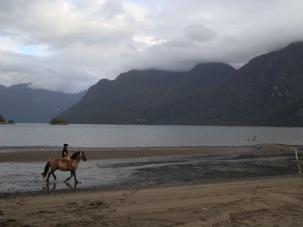 Escape to the Coast at Fundo Los Leones