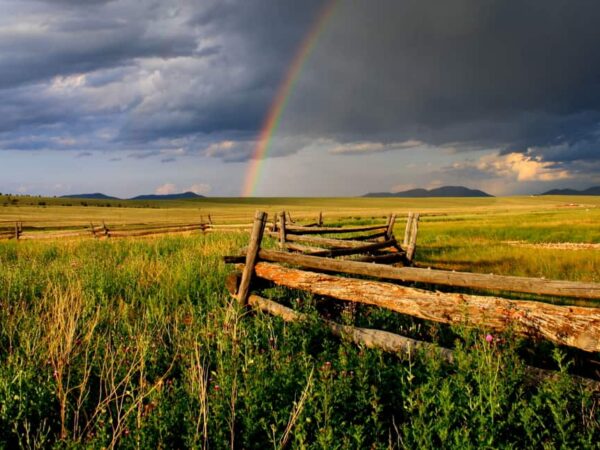 Should I Survey My Ranch?