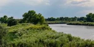 Mirr Ranch Group Photo