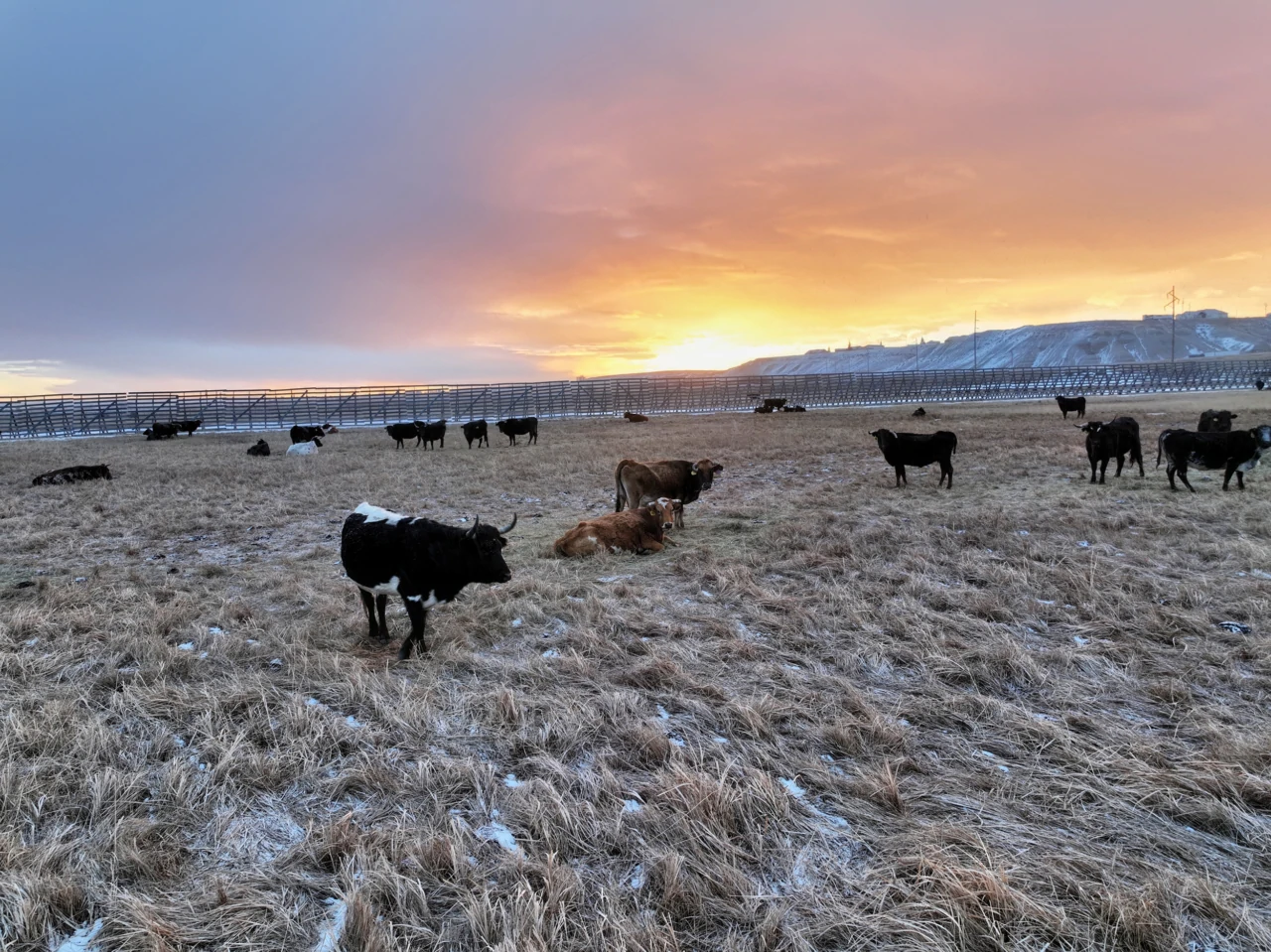 J. Vercimak Ranch