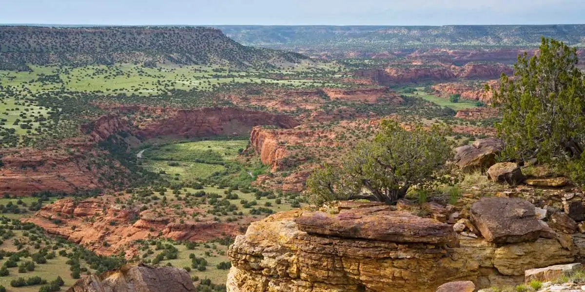JE Canyon also utilizes regenerative agriculture practices.