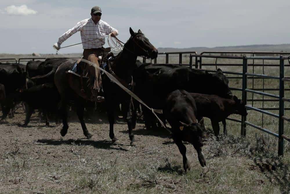 Mirr Ranch Group Photo