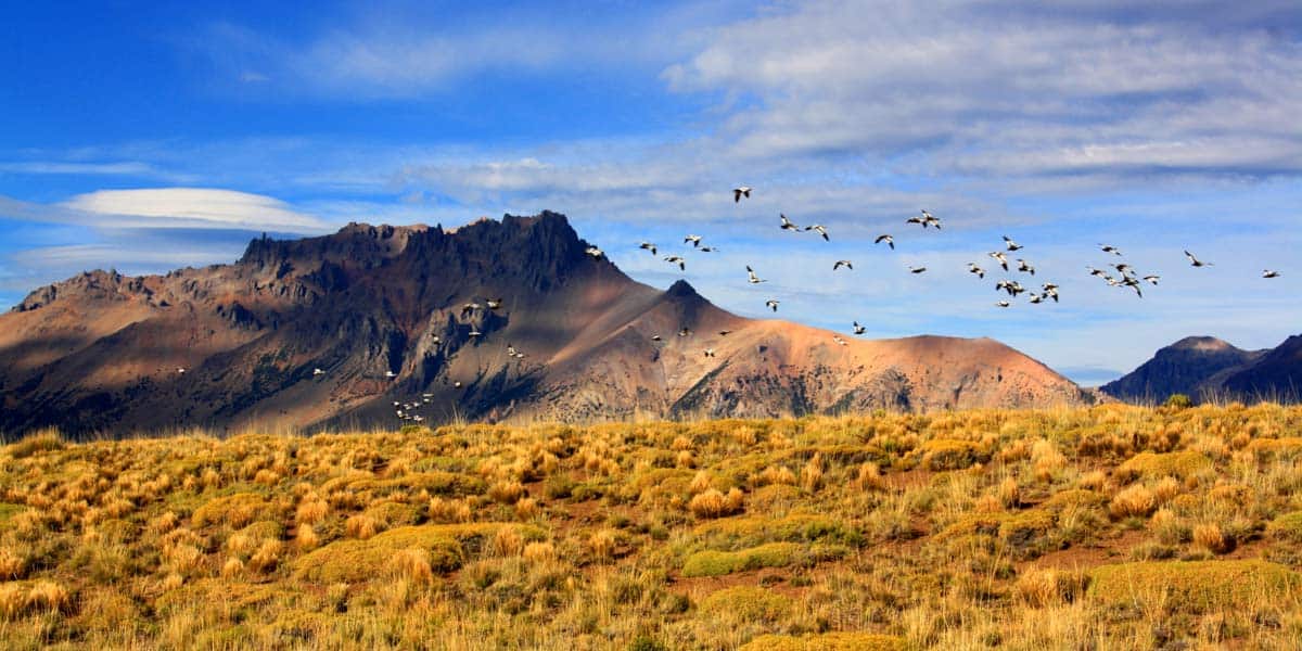 the Jeinimeni property in Chile