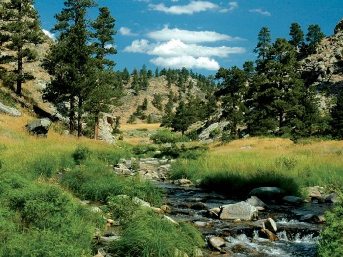 Johnson Sheep Mtn Ranch