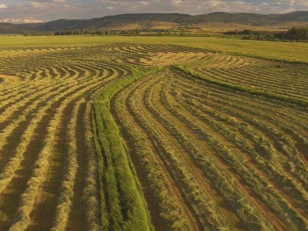 10 Things to Consider When You Buy a Ranch