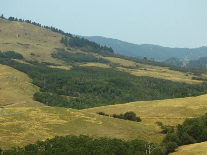 Little Piney Canyon Ranch