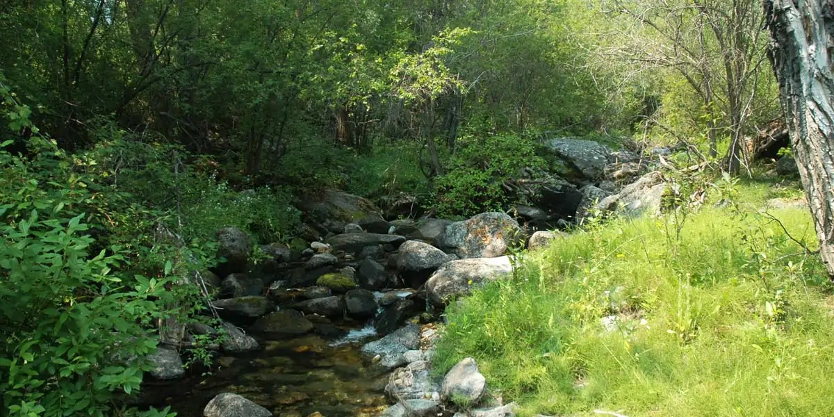 Little Piney Canyon Ranch