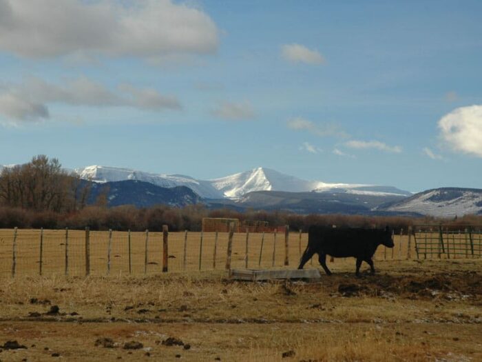 Lonetree Ranch