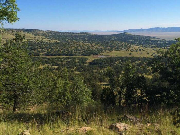 Luera Ranch