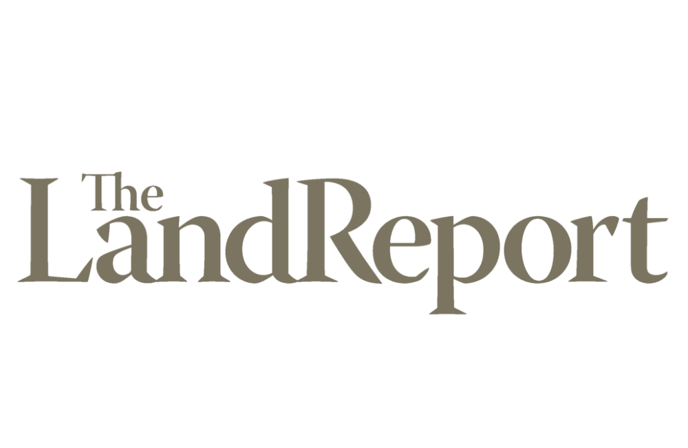Logo Item
