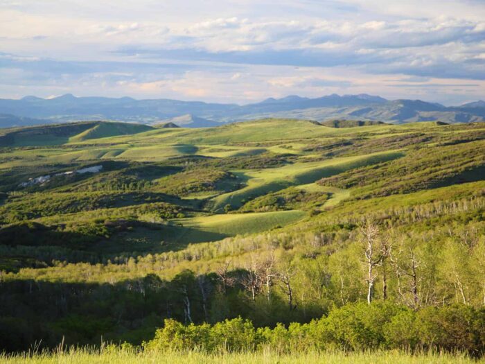 Mills Pond Ranch